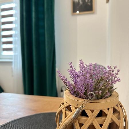 Apartament Zielony Kollataja Tomaszow Mazowiecki Exterior photo